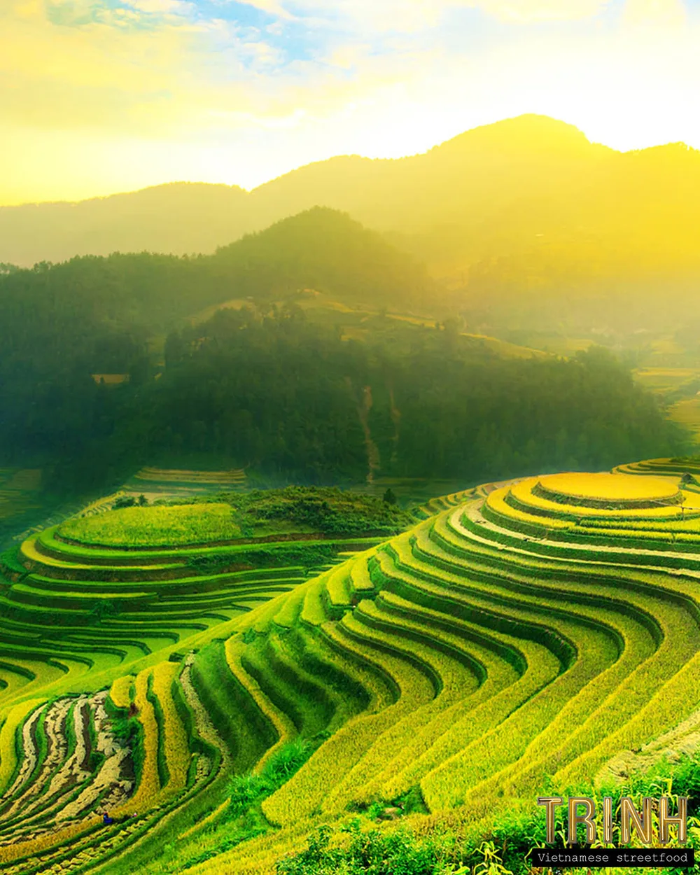 Vietnamese rijstterrassen op een heuvel bij zonsopgang.
